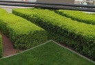 Pearcecommercial-landscaping-1.jpg; ?>